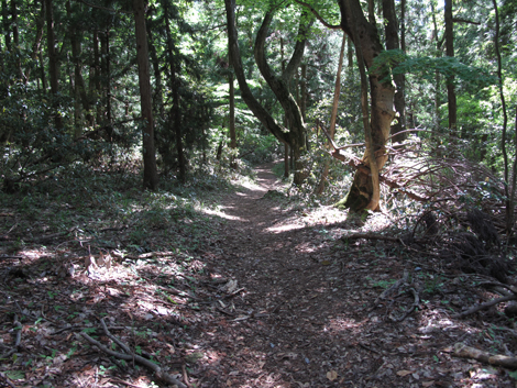 20140517hike (296)